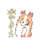 まじめでかわいい大人のシェルティ（個別スタンプ：3）