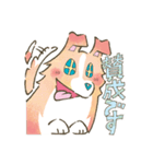 まじめでかわいい大人のシェルティ（個別スタンプ：8）