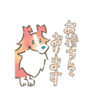 まじめでかわいい大人のシェルティ（個別スタンプ：12）
