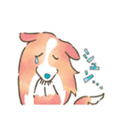 まじめでかわいい大人のシェルティ（個別スタンプ：17）