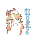 まじめでかわいい大人のシェルティ（個別スタンプ：19）