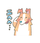 まじめでかわいい大人のシェルティ（個別スタンプ：22）