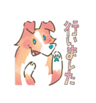 まじめでかわいい大人のシェルティ（個別スタンプ：24）