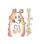 まじめでかわいい大人のシェルティ（個別スタンプ：26）