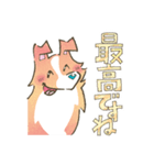 まじめでかわいい大人のシェルティ（個別スタンプ：31）