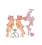 まじめでかわいい大人のシェルティ（個別スタンプ：39）