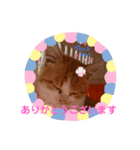 きなこちゃんの1日（個別スタンプ：8）