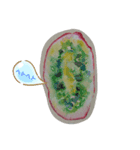 水彩画シリーズ（個別スタンプ：6）