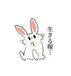 思慮の浅いうさぎ（個別スタンプ：6）