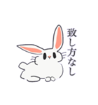 思慮の浅いうさぎ（個別スタンプ：7）
