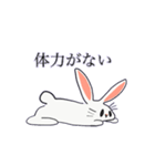 思慮の浅いうさぎ（個別スタンプ：11）