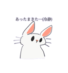 思慮の浅いうさぎ（個別スタンプ：24）