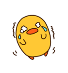 ひよこの「ぴぃ」と、時々ぴー子。（個別スタンプ：11）
