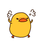 ひよこの「ぴぃ」と、時々ぴー子。（個別スタンプ：12）