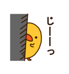 ひよこの「ぴぃ」と、時々ぴー子。（個別スタンプ：13）