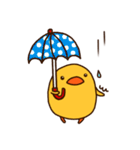 ひよこの「ぴぃ」と、時々ぴー子。（個別スタンプ：24）