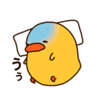 ひよこの「ぴぃ」と、時々ぴー子。（個別スタンプ：31）
