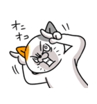 にゃんとかなるさ（個別スタンプ：6）