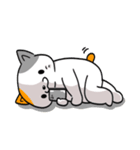 にゃんとかなるさ（個別スタンプ：31）