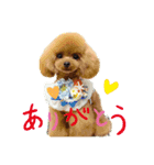 Yunaちゃんのきもち（個別スタンプ：1）