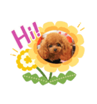 Yunaちゃんのきもち（個別スタンプ：3）