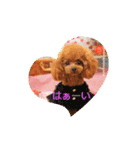 Yunaちゃんのきもち（個別スタンプ：7）