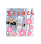 毎日えるちゃん④（個別スタンプ：2）