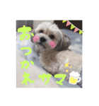 毎日えるちゃん④（個別スタンプ：4）