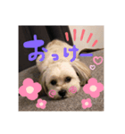 毎日えるちゃん④（個別スタンプ：5）
