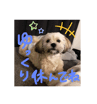 毎日えるちゃん④（個別スタンプ：8）