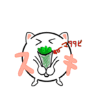 タマキねこ（個別スタンプ：17）