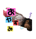 永愛スタンプ2（個別スタンプ：2）