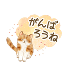 ともだち☆猫たちのスタンプ（個別スタンプ：6）