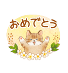ともだち☆猫たちのスタンプ（個別スタンプ：10）