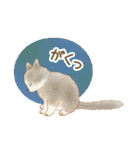 ともだち☆猫たちのスタンプ（個別スタンプ：35）
