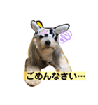 遊くんのスタンプ（個別スタンプ：5）