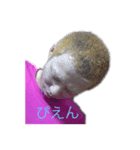 いろんなやつ的な（個別スタンプ：4）