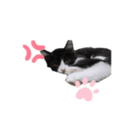 うーし（個別スタンプ：8）