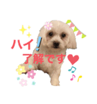 Lilyすたんぷ（個別スタンプ：2）