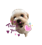 Lilyすたんぷ（個別スタンプ：7）
