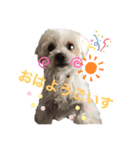 Lilyすたんぷ（個別スタンプ：8）