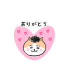 猫人間の日常会話で使えるスタンプ（個別スタンプ：1）