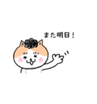 猫人間の日常会話で使えるスタンプ（個別スタンプ：17）