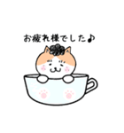 猫人間の日常会話で使えるスタンプ（個別スタンプ：19）
