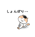 猫人間の日常会話で使えるスタンプ（個別スタンプ：24）
