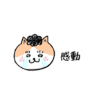 猫人間の日常会話で使えるスタンプ（個別スタンプ：35）