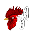 自分をアゲルにわとり（個別スタンプ：39）