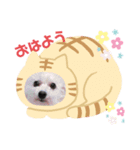 うちのめんこちゃんたち1（個別スタンプ：4）