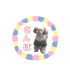 うちのめんこちゃんたち1（個別スタンプ：7）