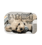 おやこのせいかつスタンプ（個別スタンプ：1）